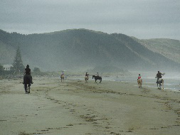 Waimarama Beach